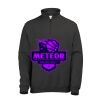 Sophomore ¼ zip sweatshirt Thumbnail