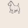 Organic cotton shopper Thumbnail