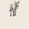 Organic cotton shopper Thumbnail