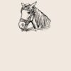 Organic cotton shopper Thumbnail