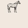 Organic cotton shopper Thumbnail