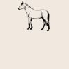 Organic cotton shopper Thumbnail