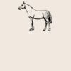 Organic cotton shopper Thumbnail