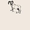 Organic cotton shopper Thumbnail