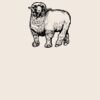 Organic cotton shopper Thumbnail