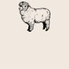 Organic cotton shopper Thumbnail