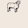 Organic cotton shopper Thumbnail
