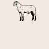 Organic cotton shopper Thumbnail