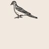 Organic cotton shopper Thumbnail