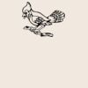 Organic cotton shopper Thumbnail