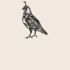 Organic cotton shopper Thumbnail