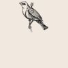 Organic cotton shopper Thumbnail