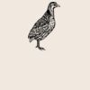 Organic cotton shopper Thumbnail