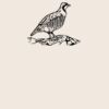 Organic cotton shopper Thumbnail