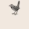 Organic cotton shopper Thumbnail