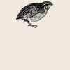 Organic cotton shopper Thumbnail