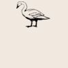 Organic cotton shopper Thumbnail