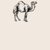 Organic cotton shopper Thumbnail