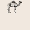 Organic cotton shopper Thumbnail