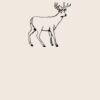 Organic cotton shopper Thumbnail