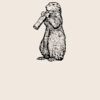 Organic cotton shopper Thumbnail