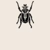 Organic cotton shopper Thumbnail