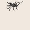 Organic cotton shopper Thumbnail