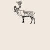 Organic cotton shopper Thumbnail