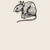 Organic cotton shopper Thumbnail