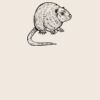 Organic cotton shopper Thumbnail
