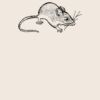 Organic cotton shopper Thumbnail
