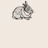 Organic cotton shopper Thumbnail