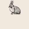 Organic cotton shopper Thumbnail