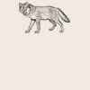 Organic cotton shopper Thumbnail