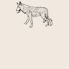 Organic cotton shopper Thumbnail
