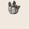 Organic cotton shopper Thumbnail