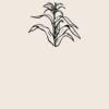 Organic cotton shopper Thumbnail