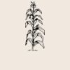 Organic cotton shopper Thumbnail