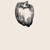 Organic cotton shopper Thumbnail