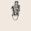 Organic cotton shopper Thumbnail