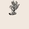 Organic cotton shopper Thumbnail