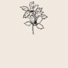 Organic cotton shopper Thumbnail