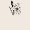 Organic cotton shopper Thumbnail
