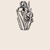 Organic cotton shopper Thumbnail