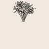 Organic cotton shopper Thumbnail