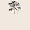 Organic cotton shopper Thumbnail