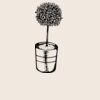 Organic cotton shopper Thumbnail