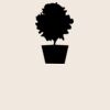 Organic cotton shopper Thumbnail