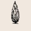 Organic cotton shopper Thumbnail