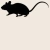 Organic cotton shopper Thumbnail